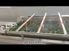 자동 콩고 콩고 채소 캔 생산 라인 장비 맞춤