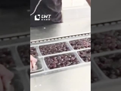 날짜 포장 생산 라인 자동 날짜 스트레치 필름 진공 포장 기계