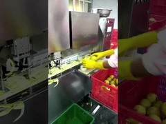 리드월드 캔 과일 생산 라인 캔 페어 처리 라인