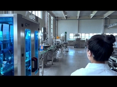 3000BPH 캔 칠리 크리스크프 포일링 생산 라인 CE