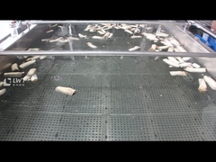 버섯 거품 청소 기계